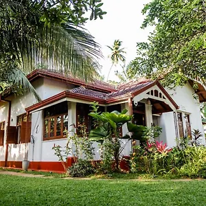 Проживание в семье Colonial, Канди